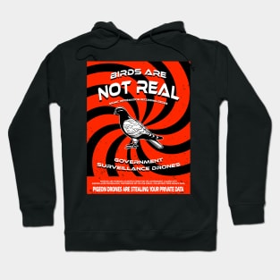 Birds Are Not Real T-shirt Hoodie